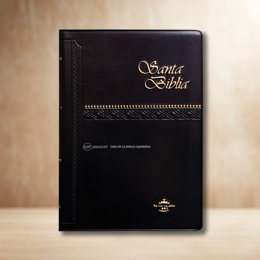 Biblia RVR1960 Manual Tapa Vinil Negro