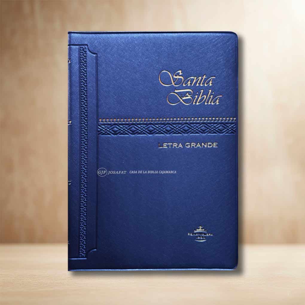 Biblia RVR1960 Manual Tapa Vinil Azul LG