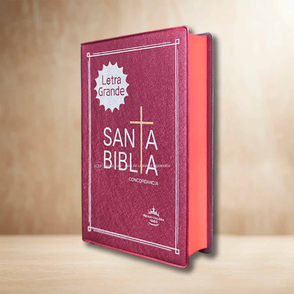 Biblia RVR1960 Manual Tapa Vinil Vino LG LU