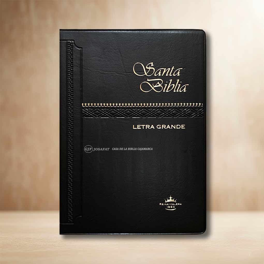 Biblia RVR1960 Manual Tapa Vinil Negro LG