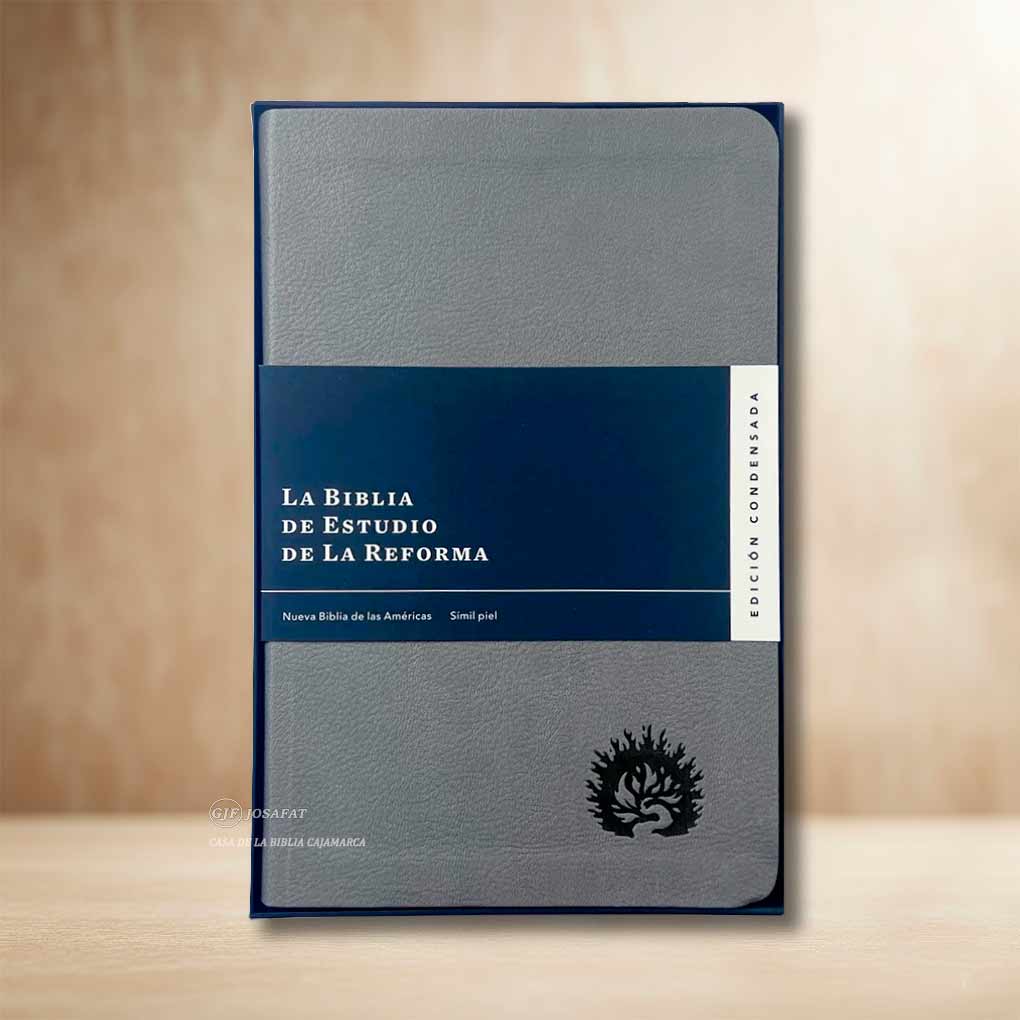 La Biblia de Estudio de La Reforma, Edición Condensada Tapa Símil Piel Gris Claro