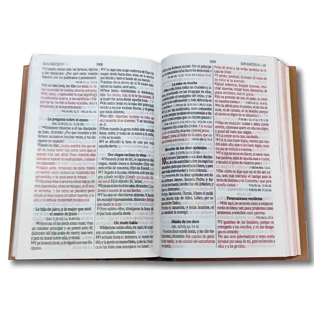 Biblia RVR1960 Personal Tapa Dura Letra Grande 12 pts Flor Marrón