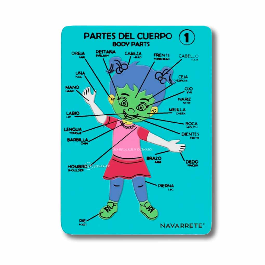 Juego Didáctico Partes del Cuerpo Niña