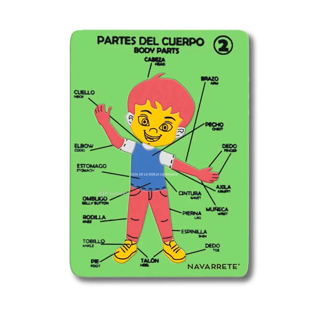 Juego Didáctico Partes del Cuerpo Niño