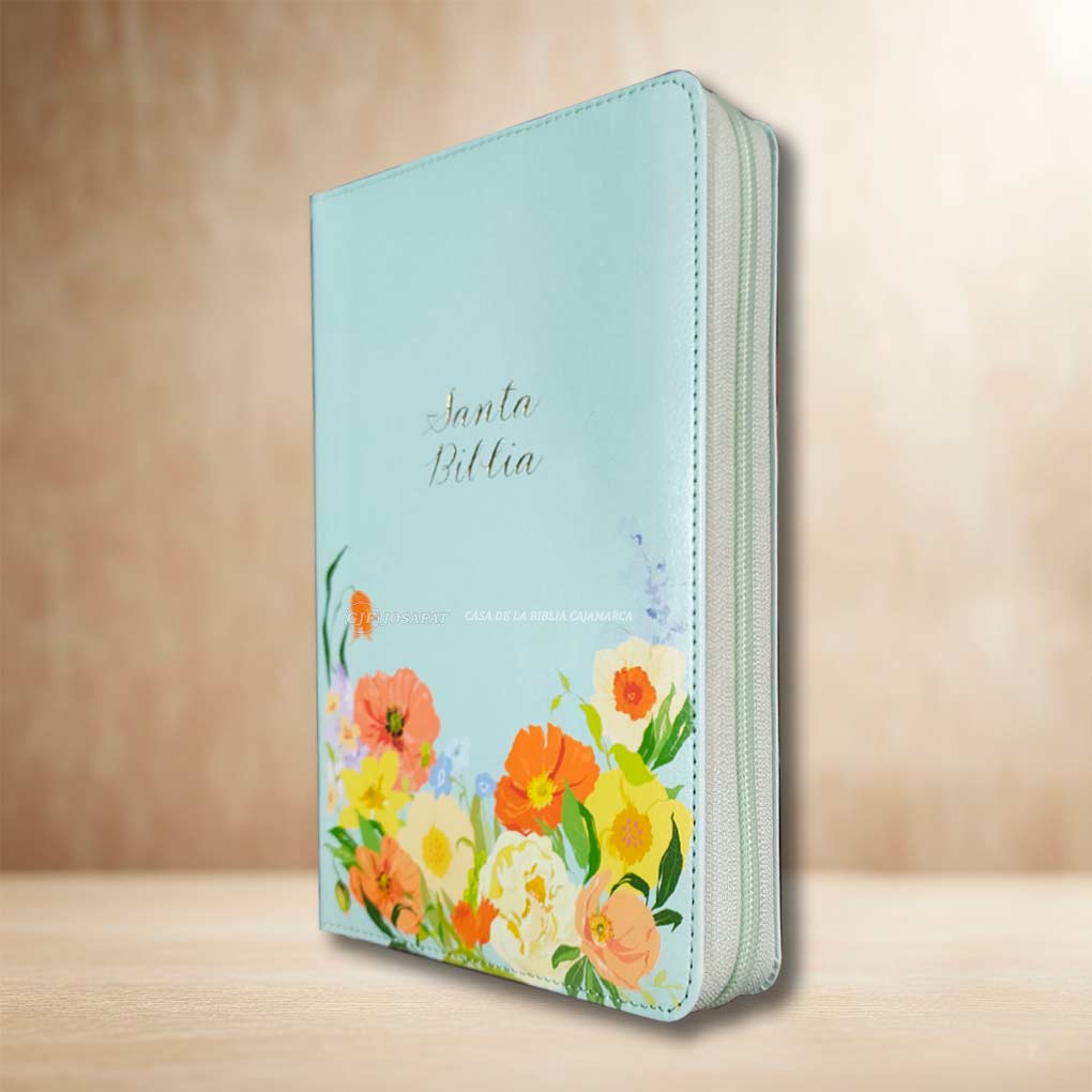 Biblia RVR1960 Letra Grande 12 pts Tapa Simil Piel Personal Cierre Indice Menta