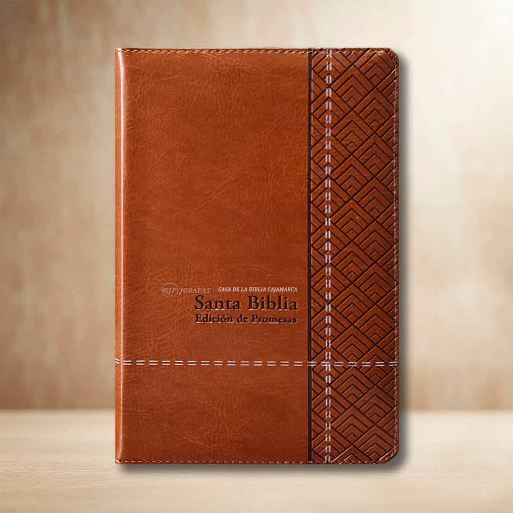 Biblia RVR1960 Letra Grande 12 pts Promesas Tapa Simil Piel Personal Cierre Indice Cafe