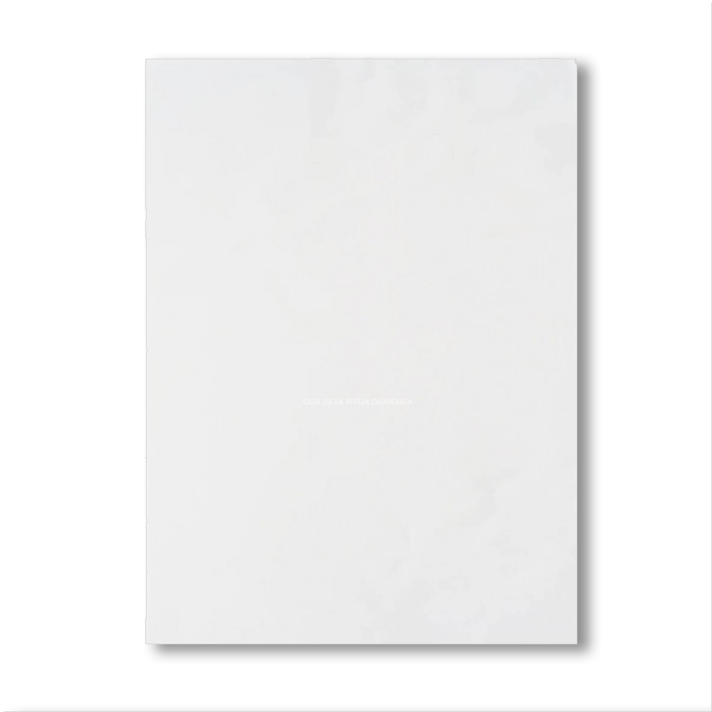 Papelógrafo Blanco Papel Sábana x 100 unds