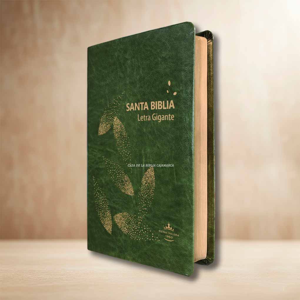 Biblia RVR1960 Letra Gigante 14 Pts Tapa Simil Piel Personal Filo Dorado Verde AZ