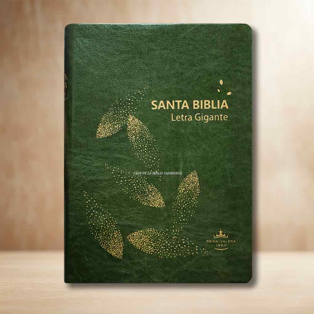 Biblia RVR1960 Letra Gigante 14 Pts Tapa Simil Piel Personal Filo Dorado Verde AZ