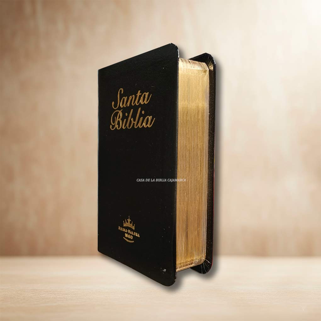 Biblia RVR1960 Bolsillo Mini Biblia Tapa Piel Negro