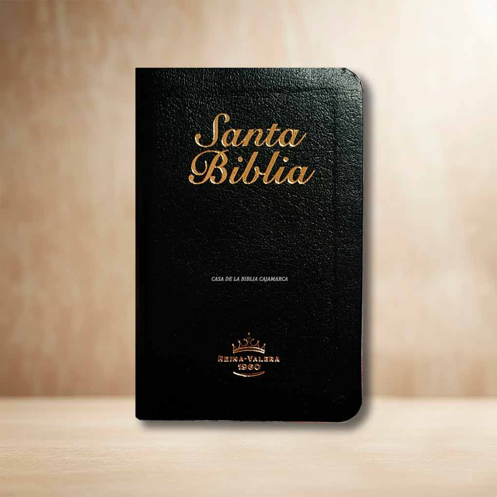 Biblia RVR1960 Bolsillo Mini Biblia Tapa Piel Negro