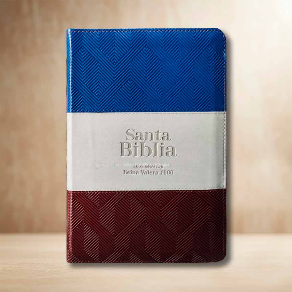 Biblia RVR1960 Personal Letra Grande 12 pts Tapa Simil Piel Cierre Indice MB Tritono AGM