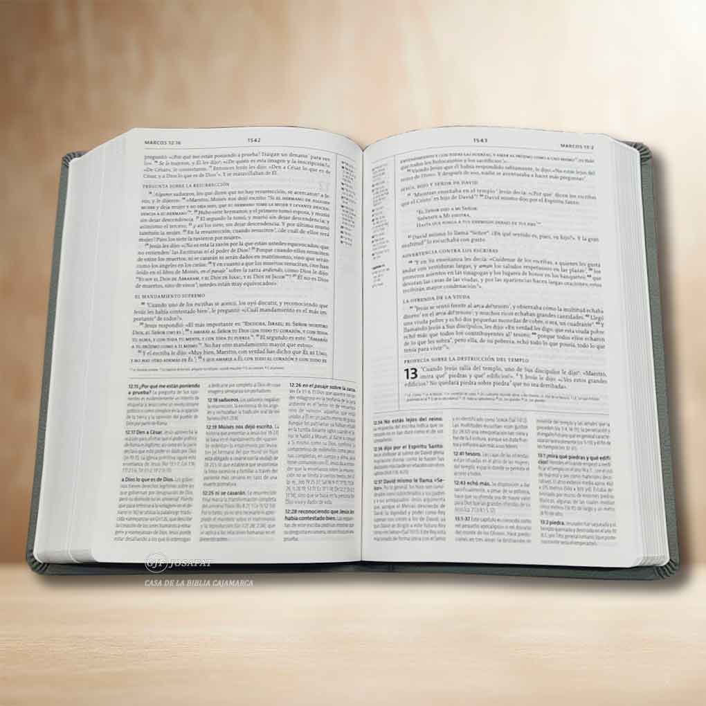 La Biblia de Estudio de La Reforma, Edición Condensada Tapa Símil Piel Gris Claro