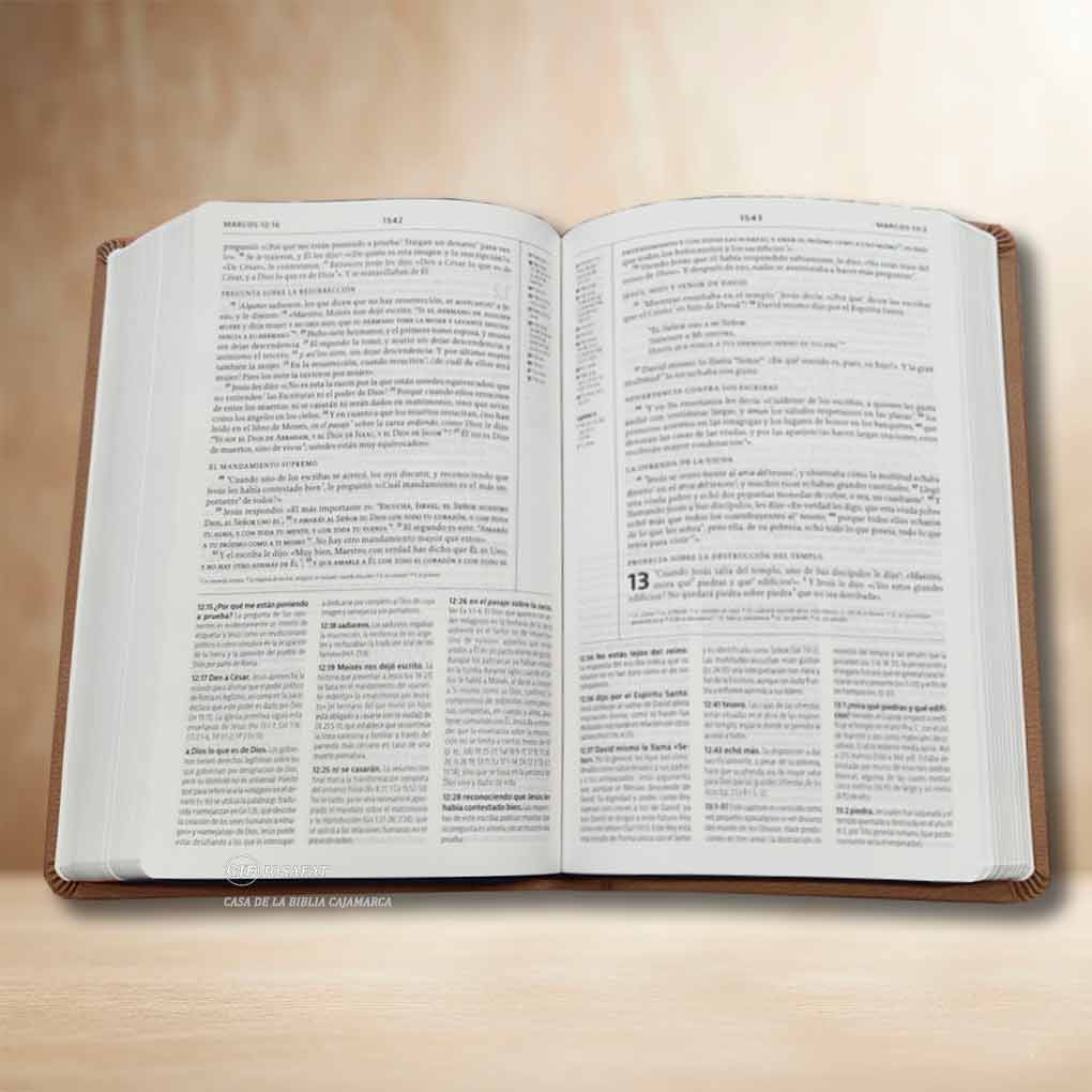 La Biblia de Estudio de La Reforma Edición Condensada Tapa Símil Piel Marrón