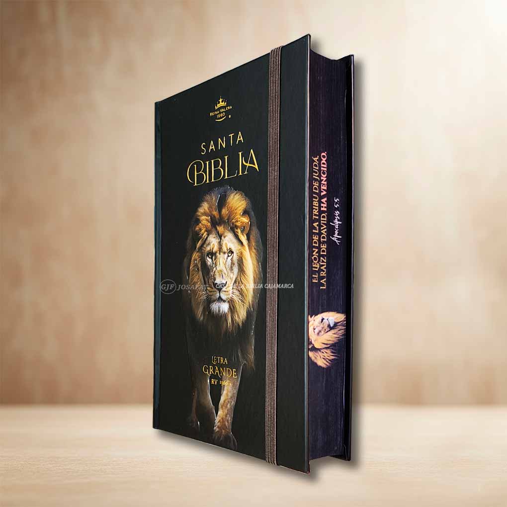 Biblia RVR1960 Personal Letra Grande 12 pts Tapa con Liga Leon Negro MB