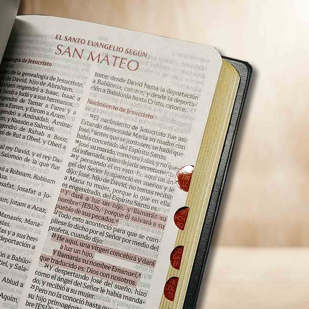 Biblia RVR1960 Fuente de Bendicion Manual Tapa Vinil Indice Negro