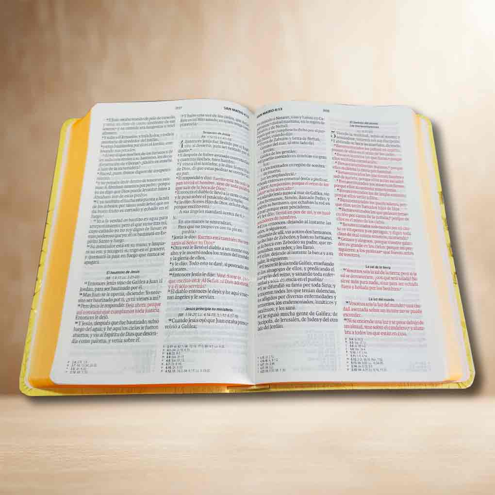 Biblia RVR1960 Personal Letra Grande 11.5 pts Obsequios y Premios MB Amarillo Abejas