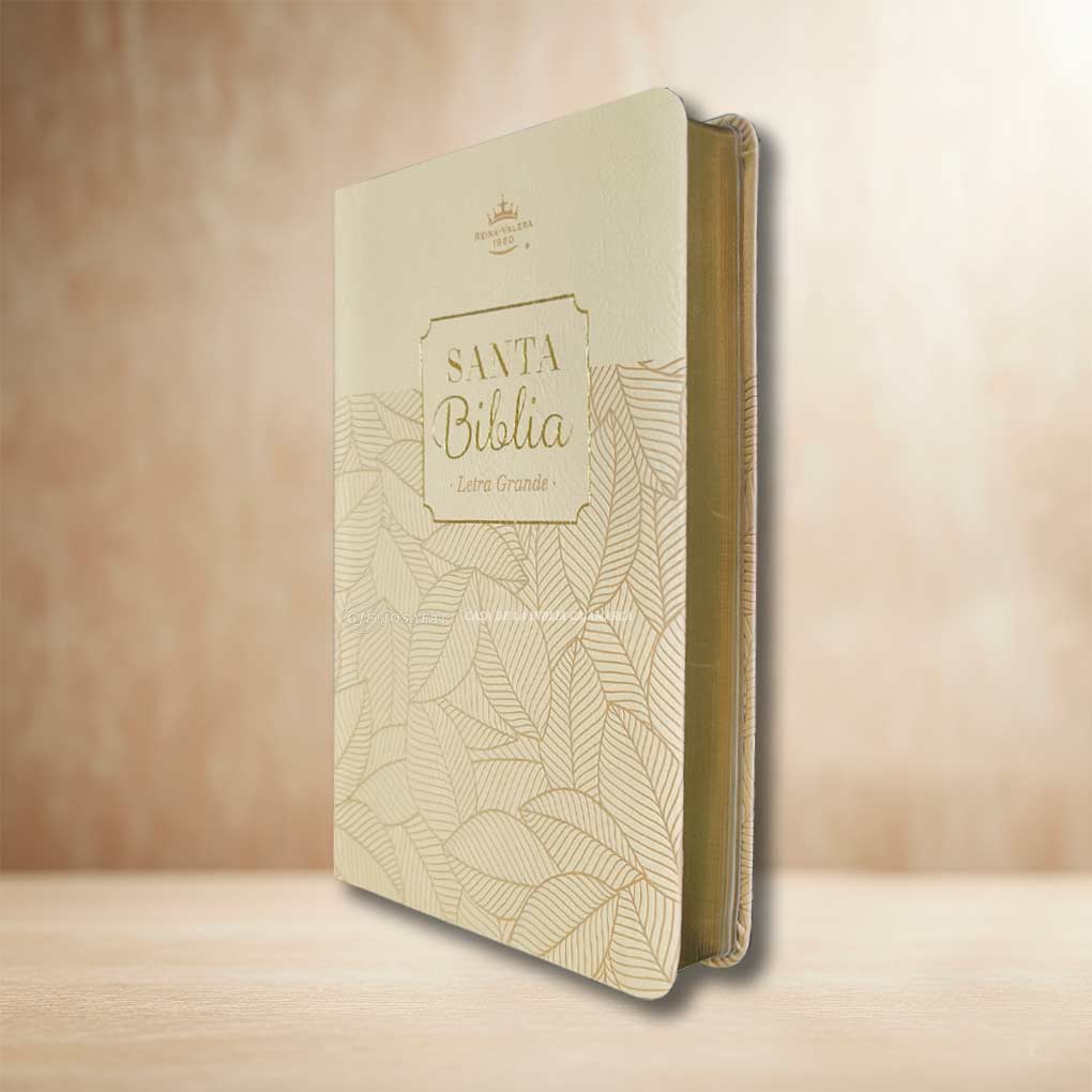 Biblia RVR1960 Personal Letra Grande 11.5 pts Obsequios y Premios MB Beige Hojas