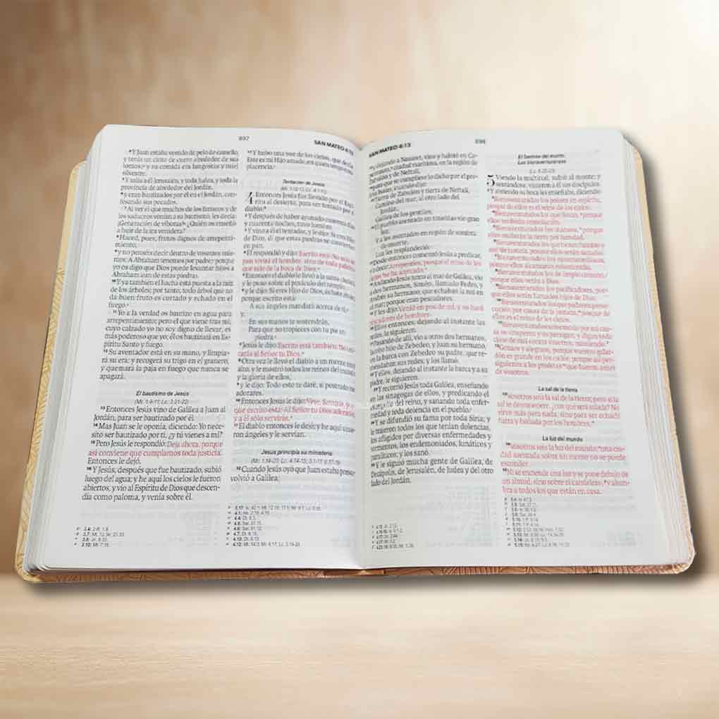 Biblia RVR1960 Personal Letra Grande 11.5 pts Obsequios y Premios MB Beige Hojas