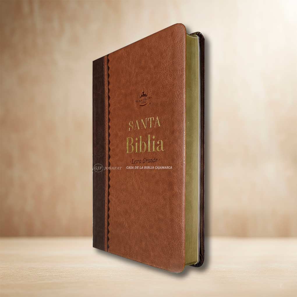 Biblia RVR1960 Personal Letra Grande 11.5 pts Obsequios y Premios MB Café Refinado