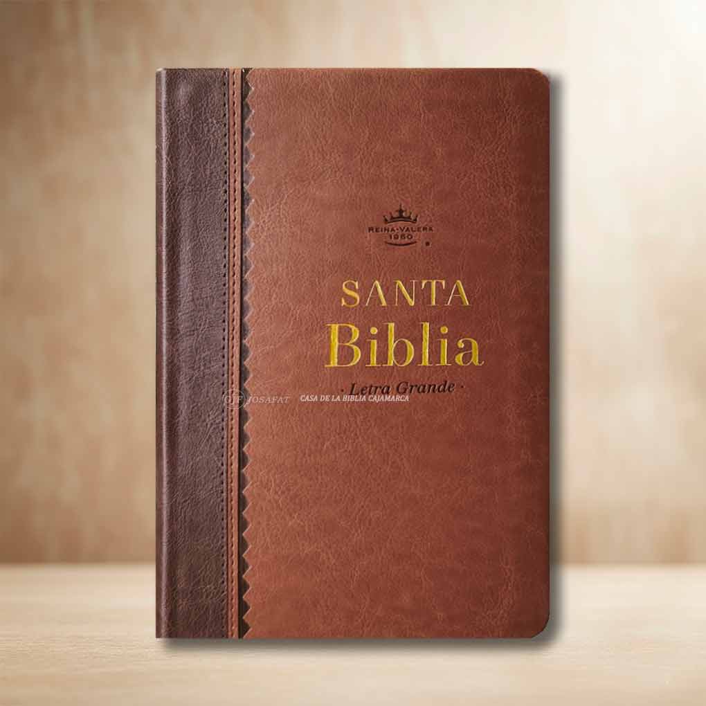 Biblia RVR1960 Personal Letra Grande 11.5 pts Obsequios y Premios MB Café Refinado