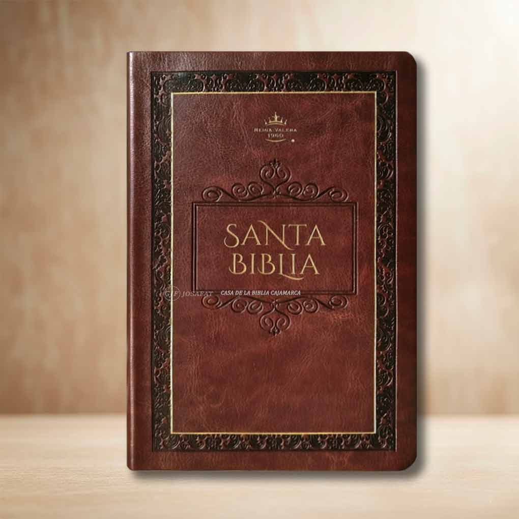 Biblia RVR1960 Personal Letra Grande 11.5 pts Obsequios y Premios MB Marrón Elegante