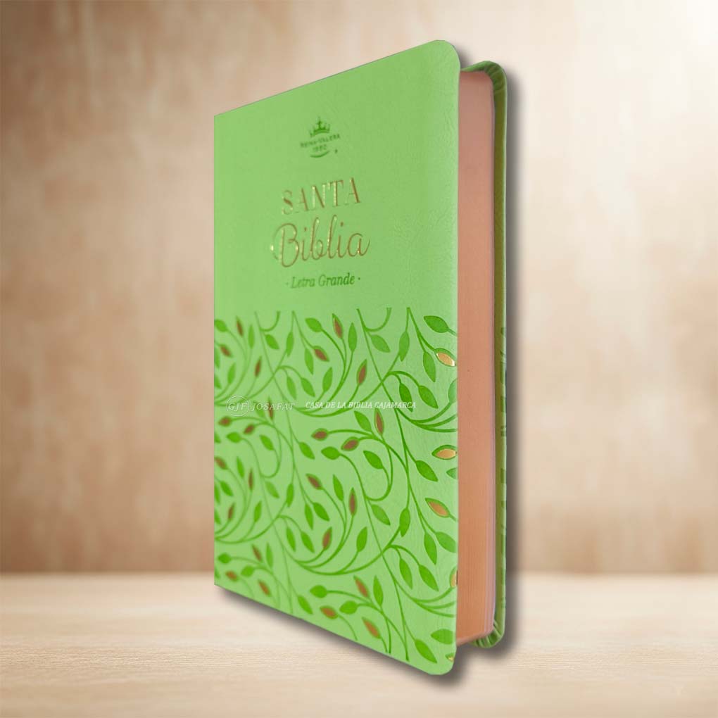 Biblia RVR1960 Personal Letra Grande 11.5 pts Obsequios y Premios MB Verde Olivo