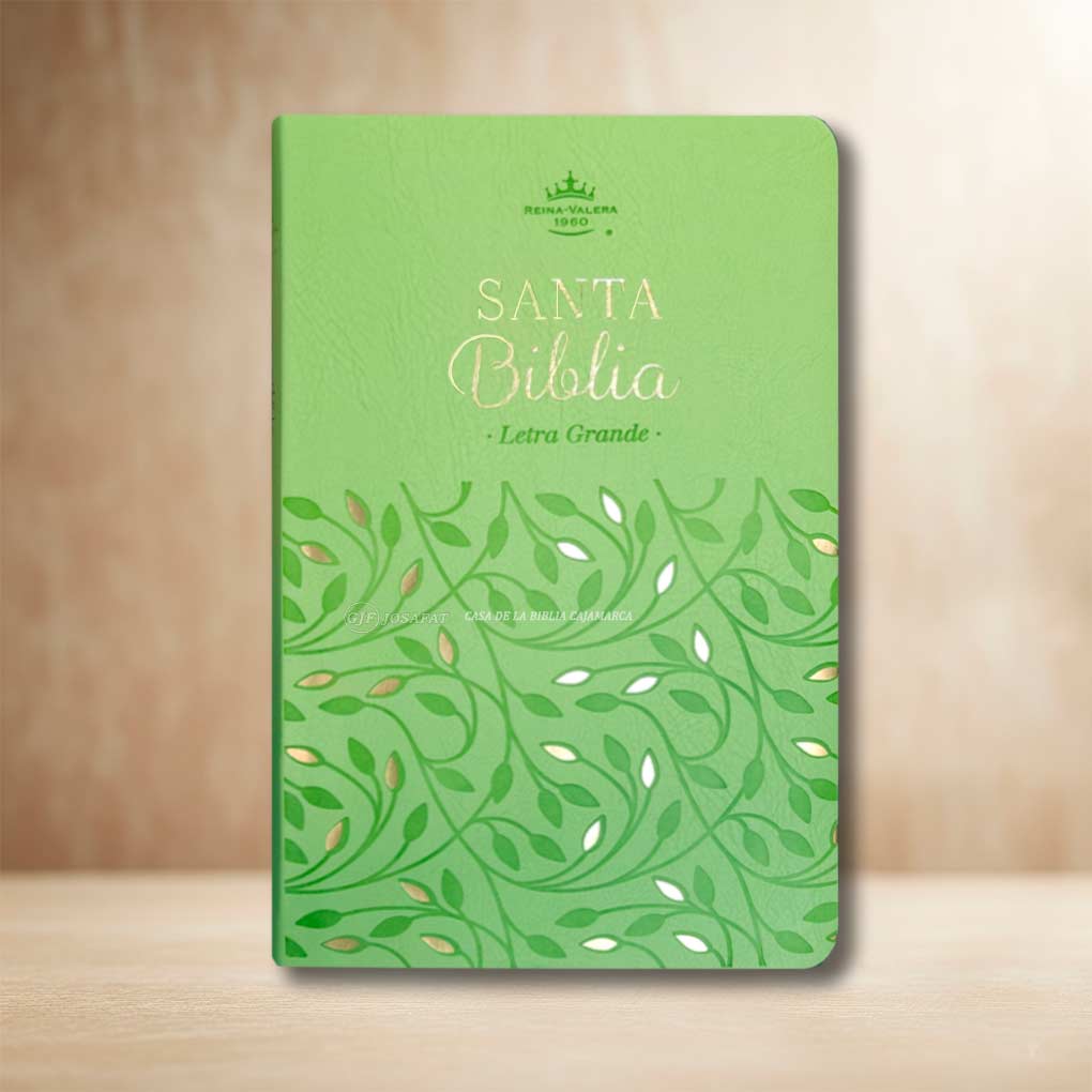 Biblia RVR1960 Personal Letra Grande 11.5 pts Obsequios y Premios MB Verde Olivo