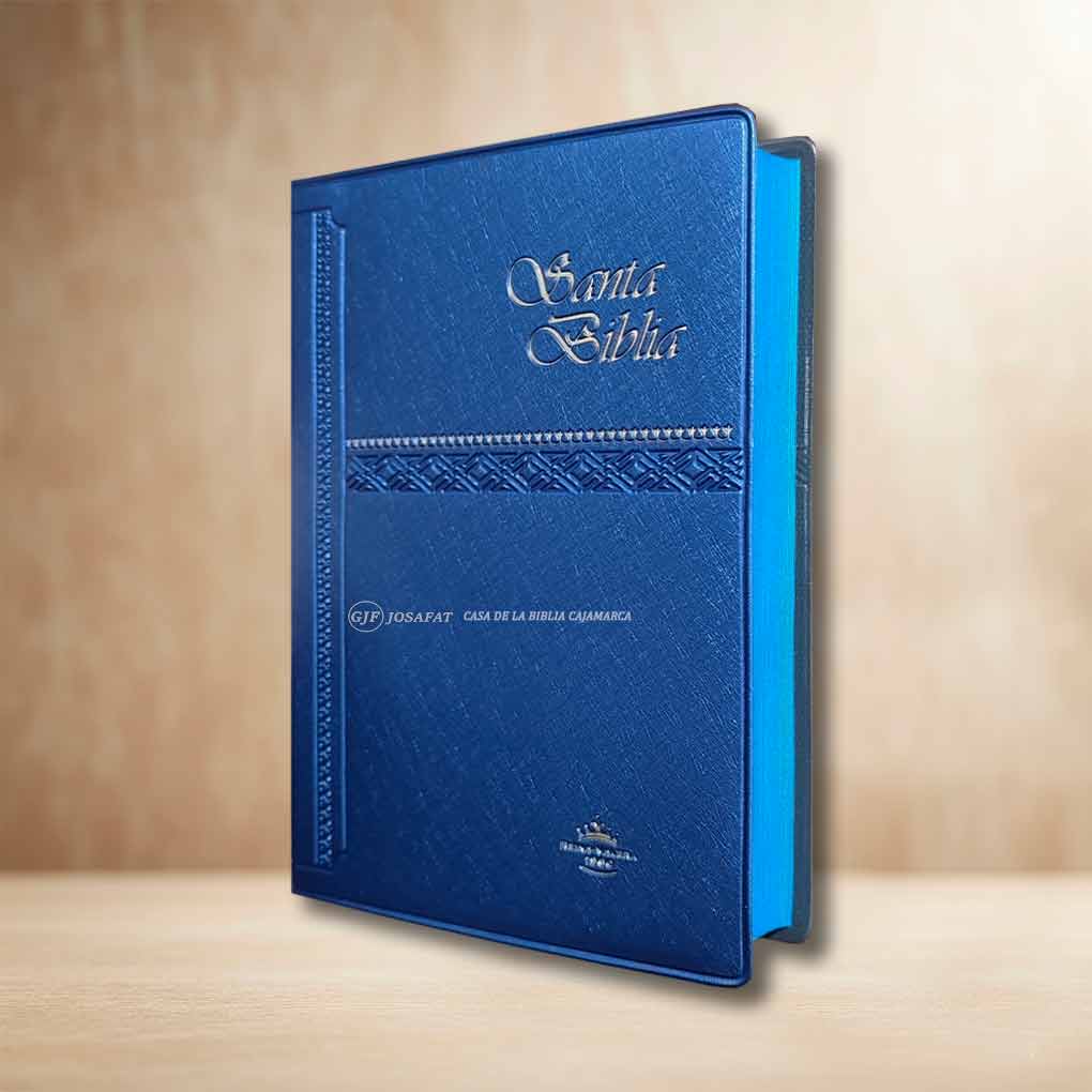 Biblia RVR1960 Manual Tapa Vinil Azul