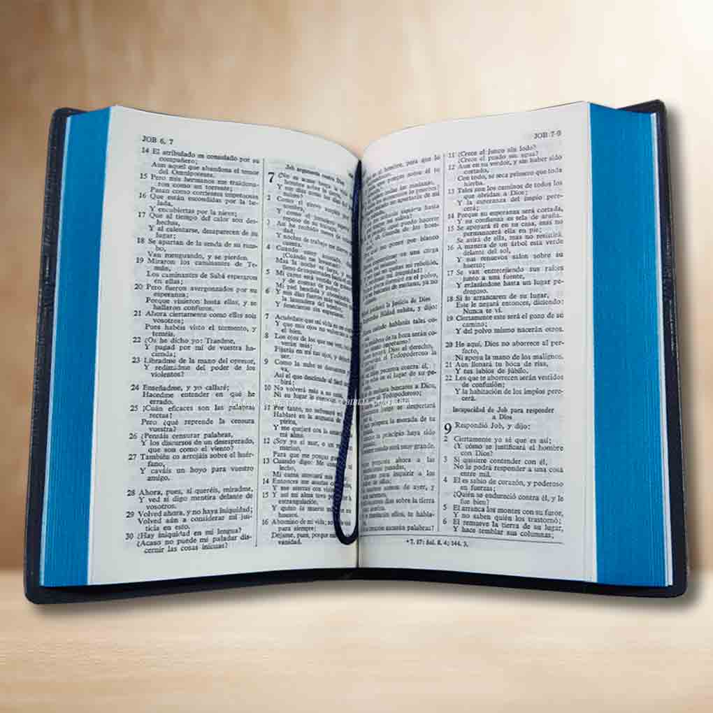 Biblia RVR1960 Manual Tapa Vinil Azul