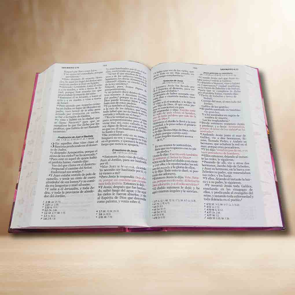 Biblia RVR1960 Personal Letra Grande 12 pts Tapa con Liga Flor Rosa MB