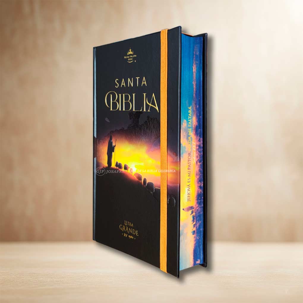 Biblia RVR1960 Personal Letra Grande 12 pts Tapa con Liga Pastor MB