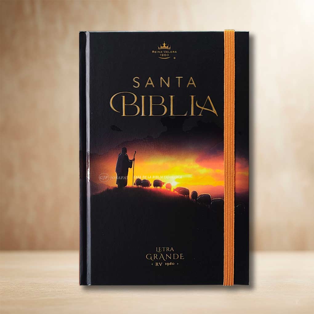 Biblia RVR1960 Personal Letra Grande 12 pts Tapa con Liga Pastor MB