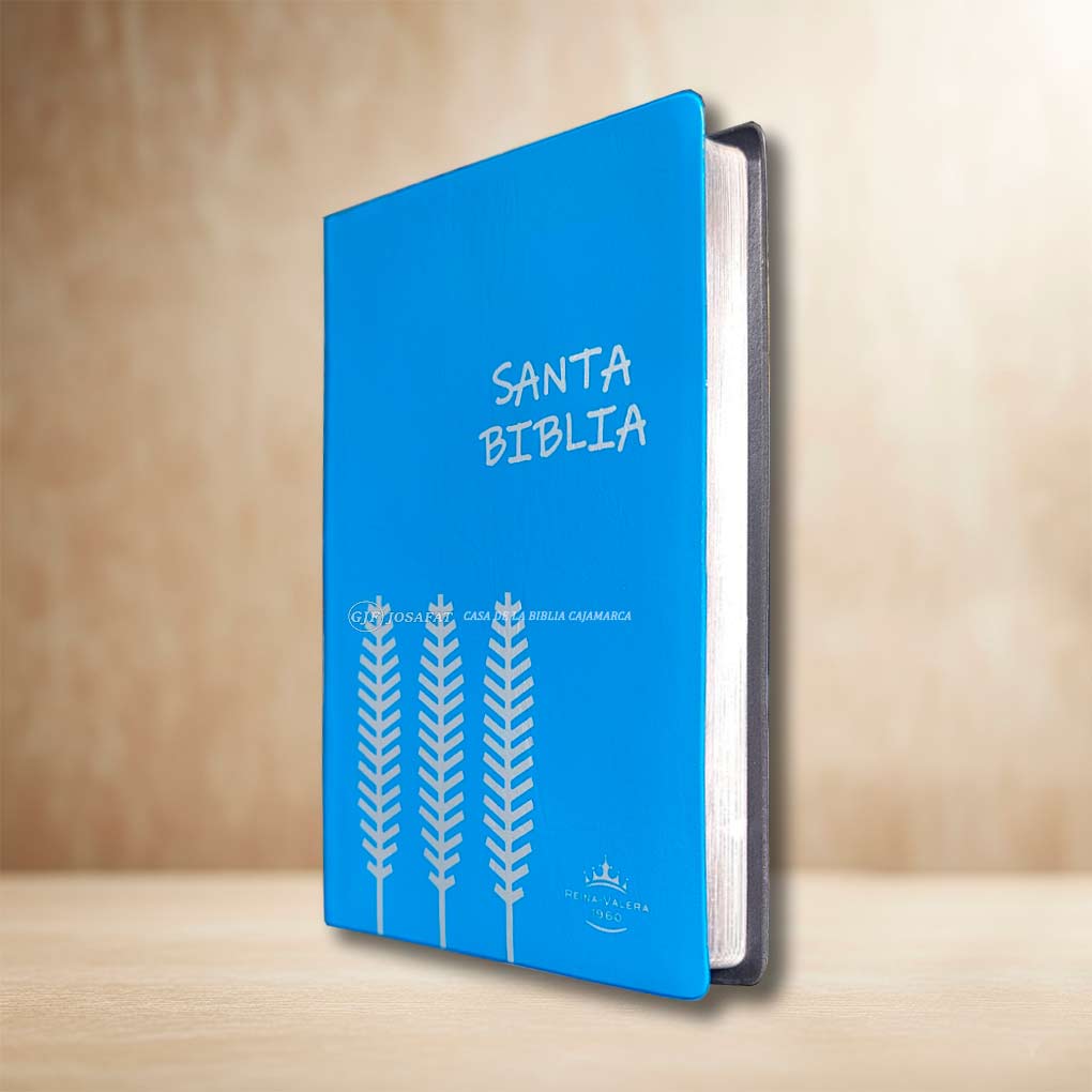 Biblia RVR1960 Manual Tapa Vinil Ultrafina Azul