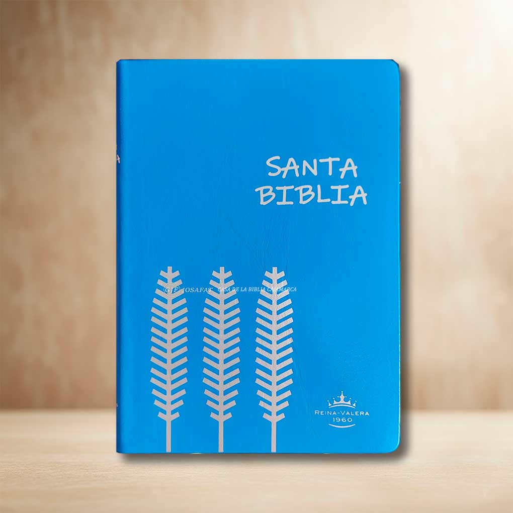 Biblia RVR1960 Manual Tapa Vinil Ultrafina Azul