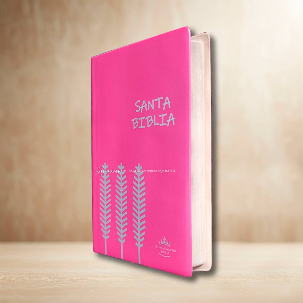 Biblia RVR1960 Manual Tapa Vinil Ultrafina Rosa