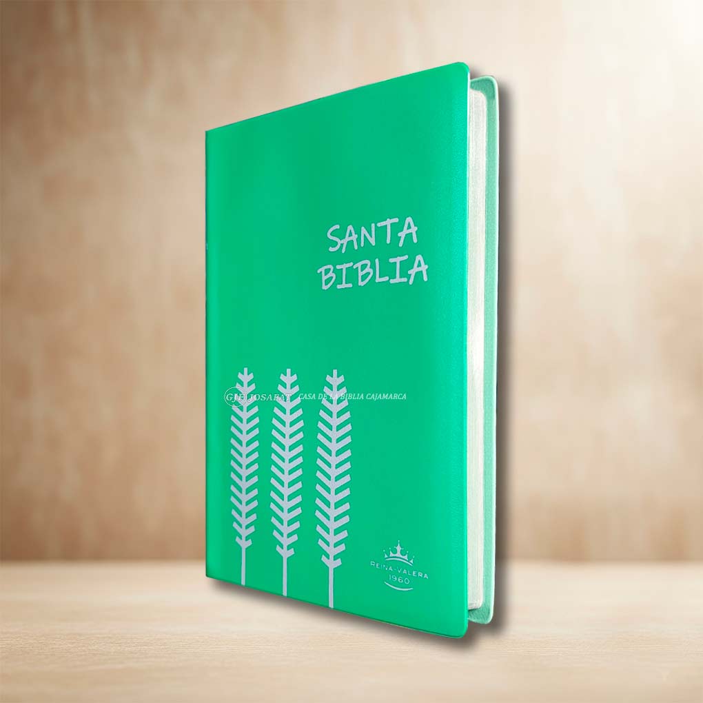 Biblia RVR1960 Manual Tapa Vinil Ultrafina Verde