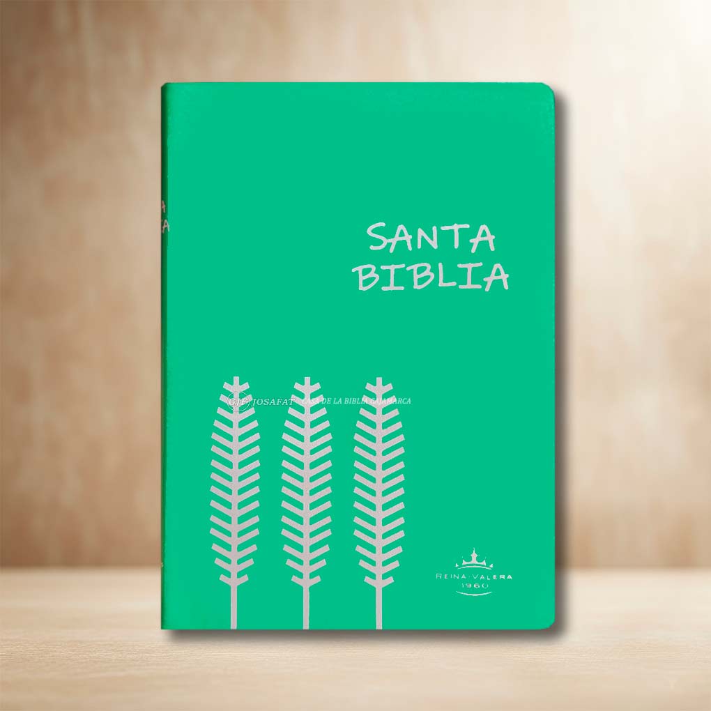 Biblia RVR1960 Manual Tapa Vinil Ultrafina Verde