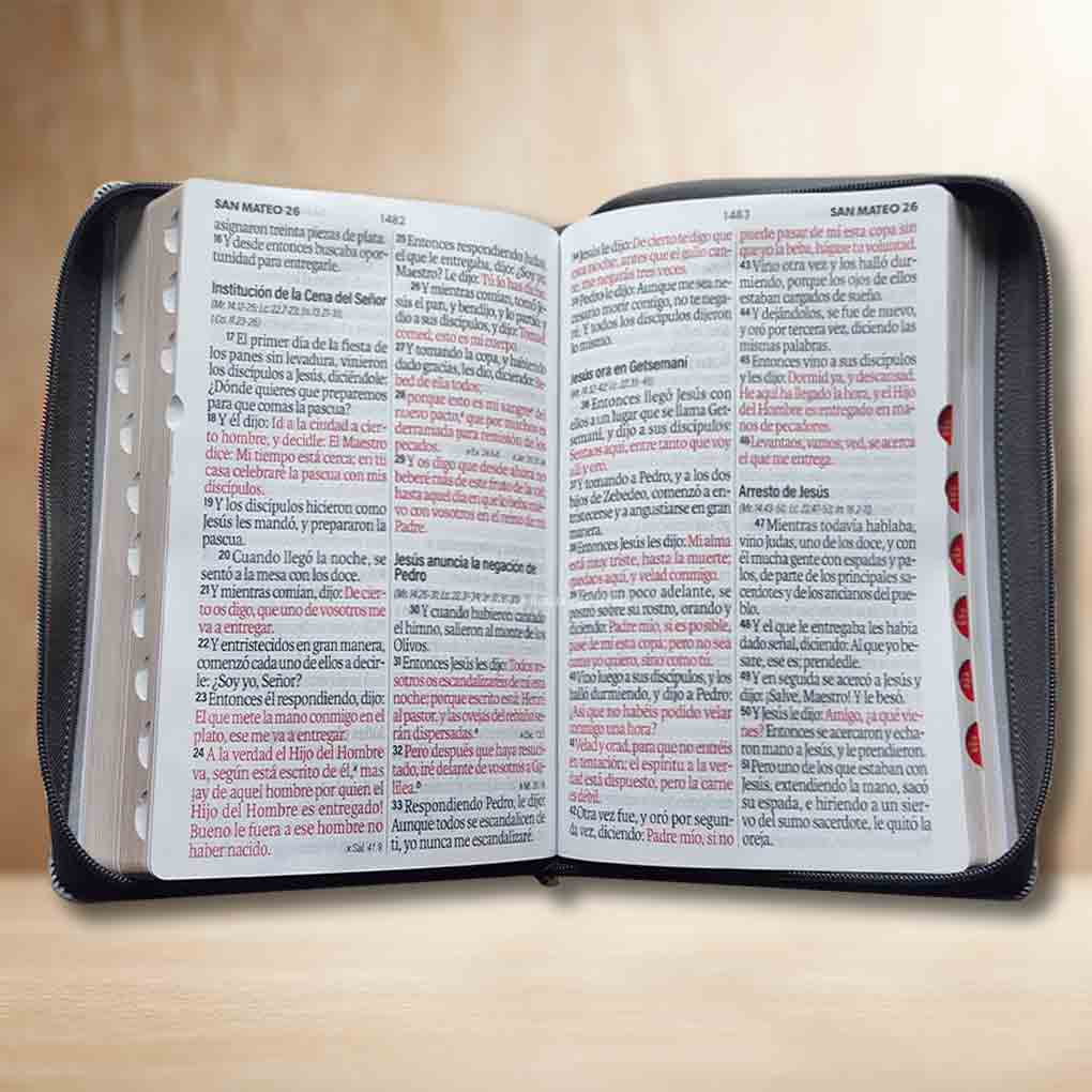 Biblia RVR1960 Letra Super Gigante 19 Pts Tapa Simil Piel Cierre Indice MB Negro Gris León