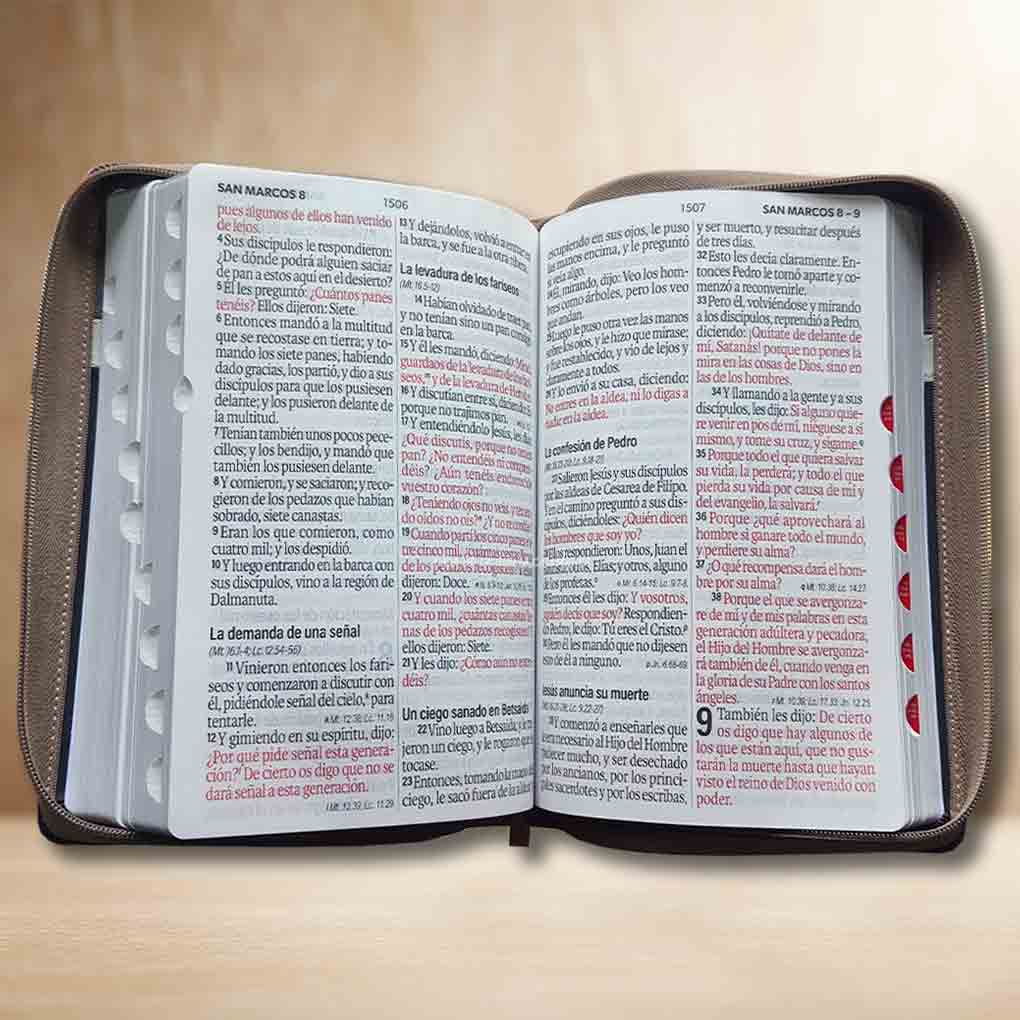 Biblia RVR1960 Letra Super Gigante 19 Pts Tapa Simil Piel Cierre Indice MB Negro Café Beige