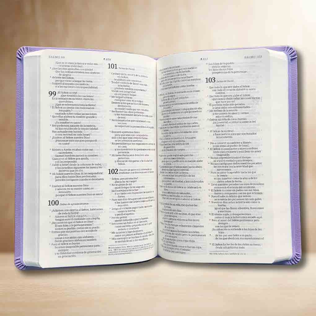 Biblia Personal NTV Valor Premium Ultrafina con Filament SentiPiel Morado