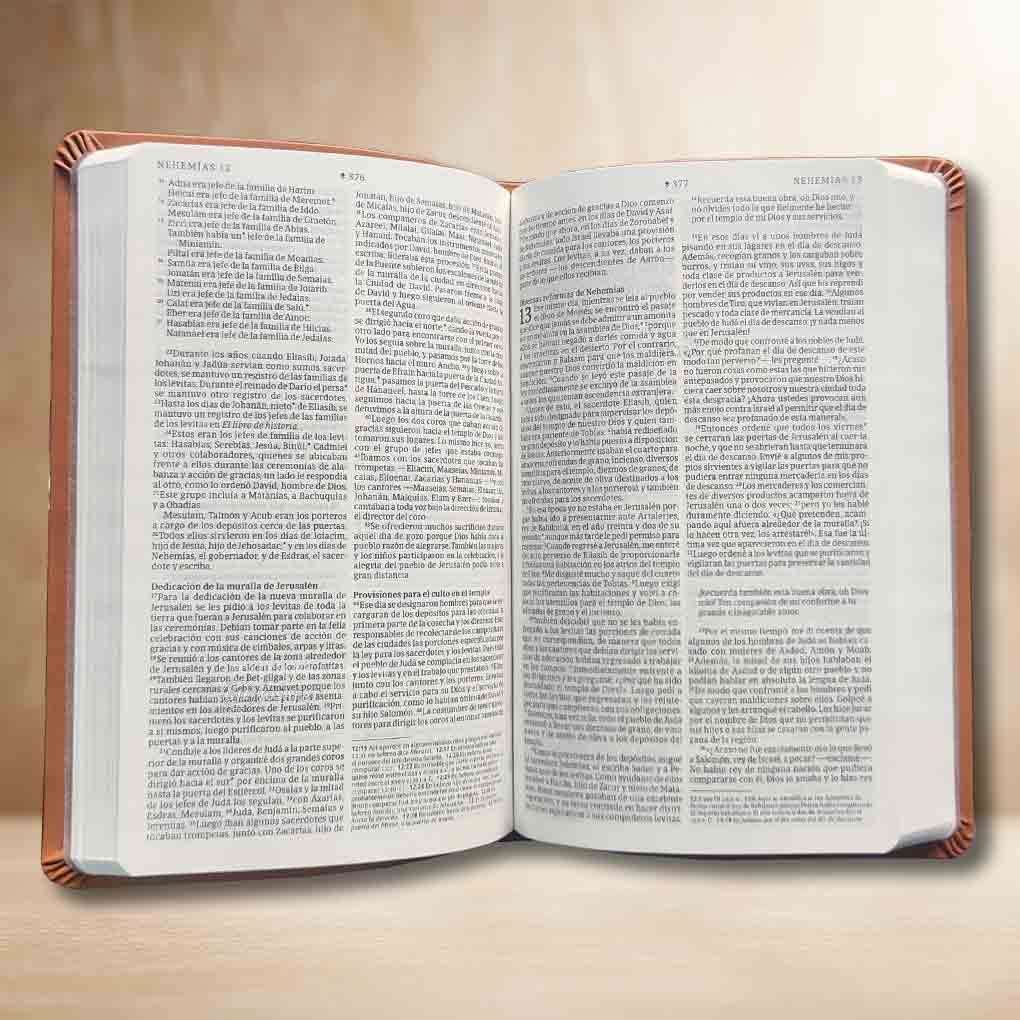 Biblia Personal NTV Valor Premium Ultrafina con Filament SentiPiel Café