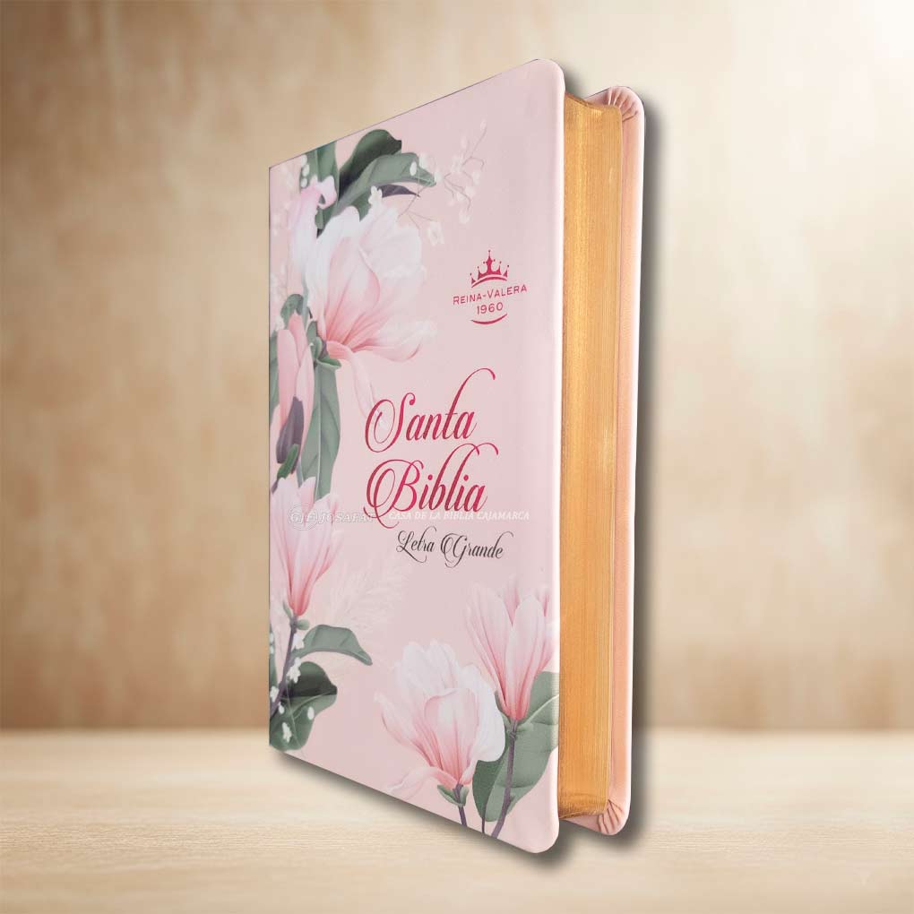 Biblia RVR1960 Personal Letra Grande 12 pts Tapa Simil Piel IG Rosa Flores