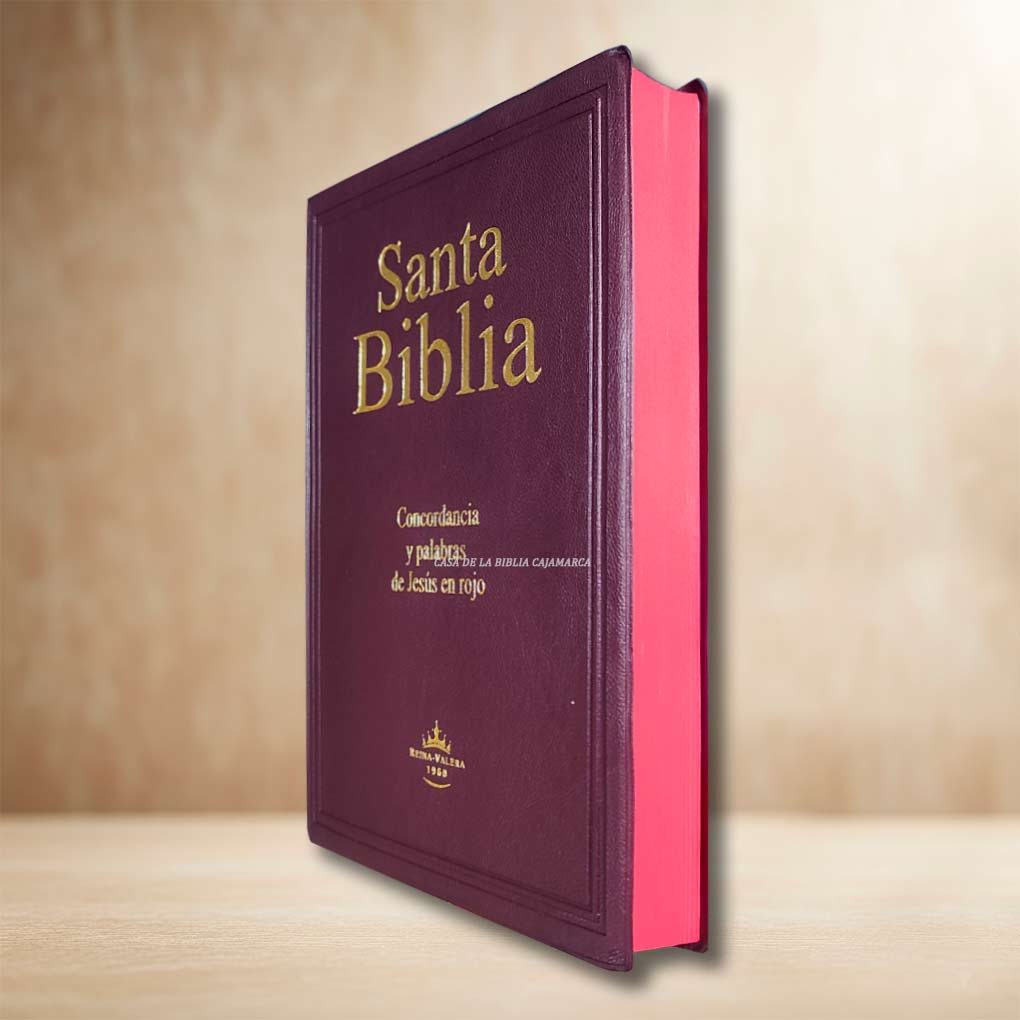 Biblia RVR1960 Letra Gigante 14 Pts Tapa Vinil Filo Rojo Vino