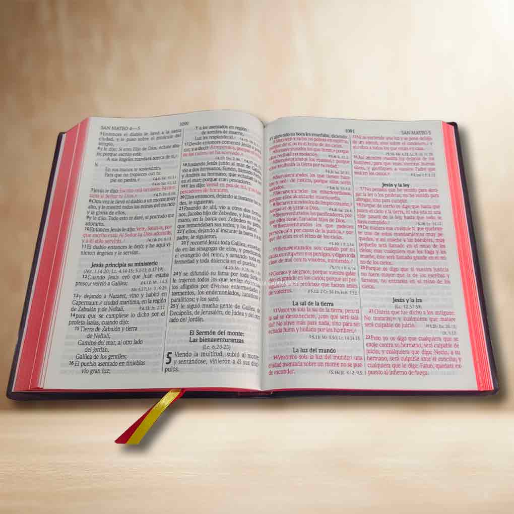 Biblia RVR1960 Letra Gigante 14 Pts Tapa Vinil Filo Rojo Vino