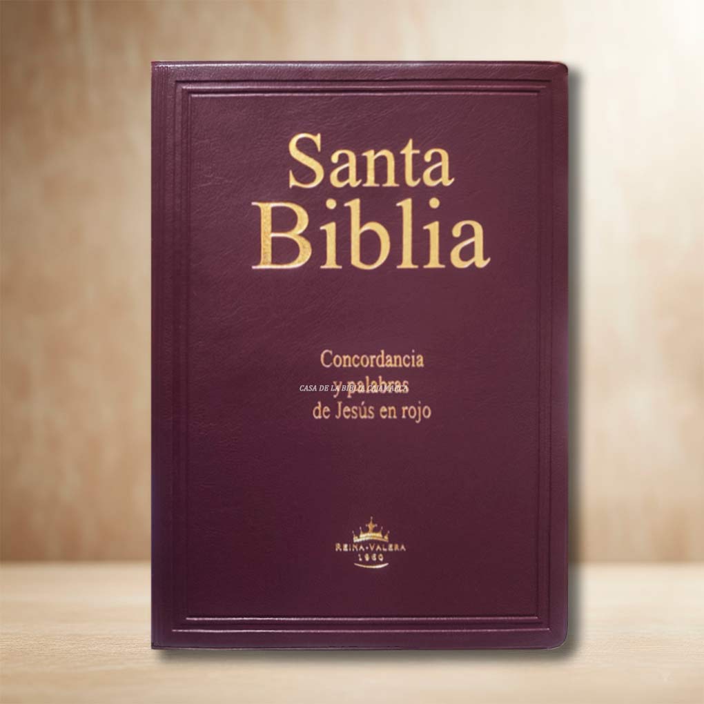 Biblia RVR1960 Letra Gigante 14 Pts Tapa Vinil Filo Rojo Vino