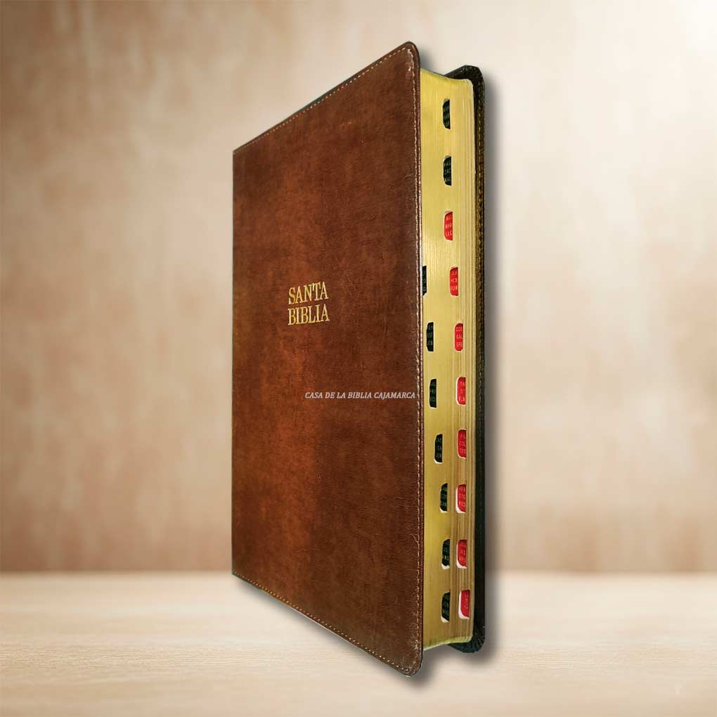 Biblia RVR1960 Letra Super Gigante 16 pts Piel Índice Marron Holman