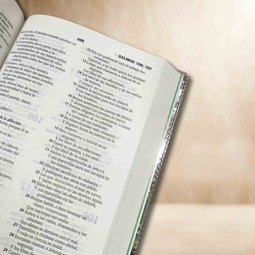 Biblia Para Niños Mig y Meg RVR1960 Tapa Rústica con Mica Rosado