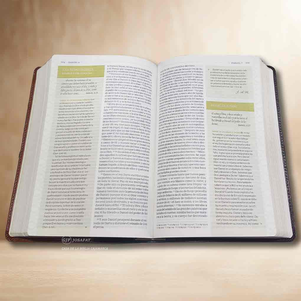 Biblia Temática de Estudio RVR1960 Tapa Piel Negro
