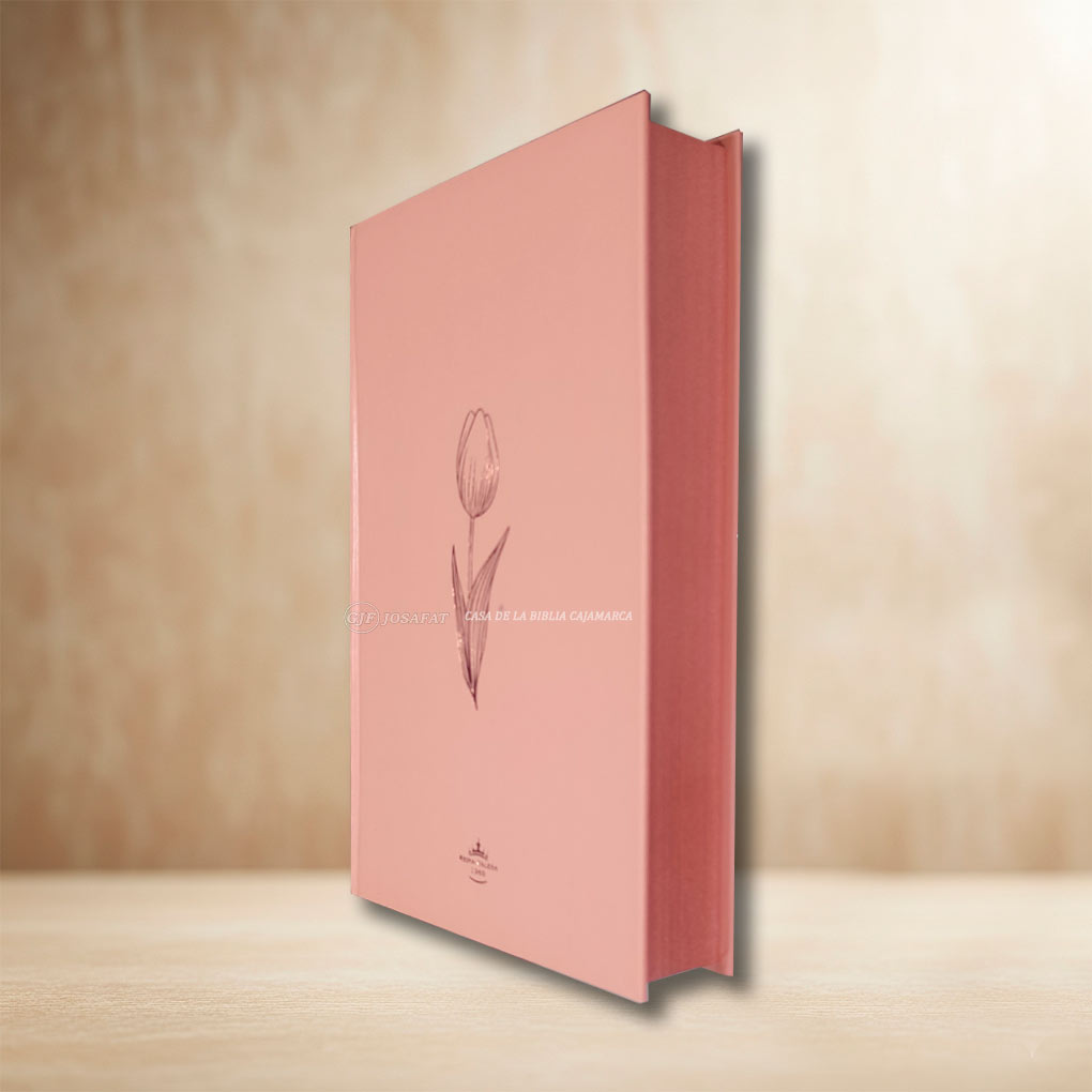 Biblia RVR1960 Personal Tapa Dura Letra Grande 12 pts Rosa